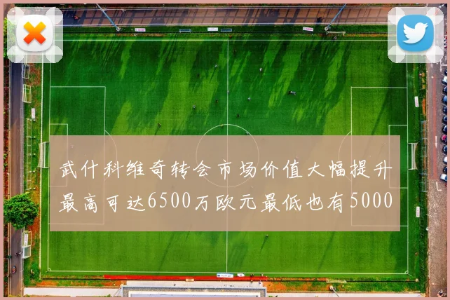 武什科维奇转会市场价值大幅提升最高可达6500万欧元最低也有5000万欧元